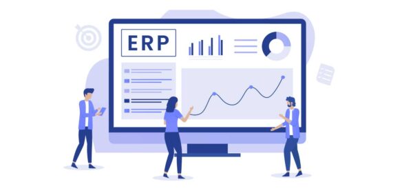 ERP System Usage Course